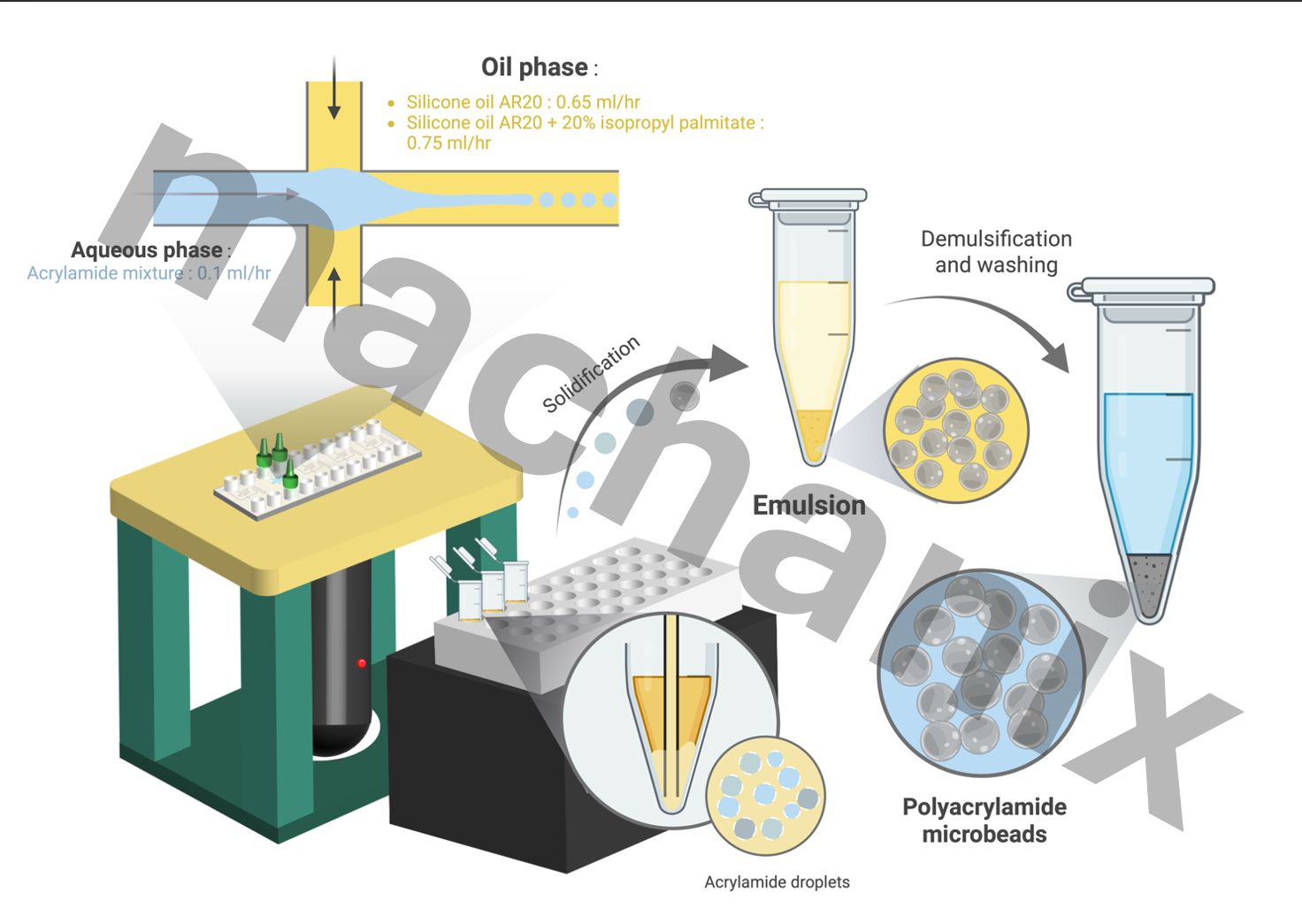 Lab Graphical Abstract Poster ผลงาน Graphical abstract / Scientific poster presentation